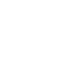 store-icon